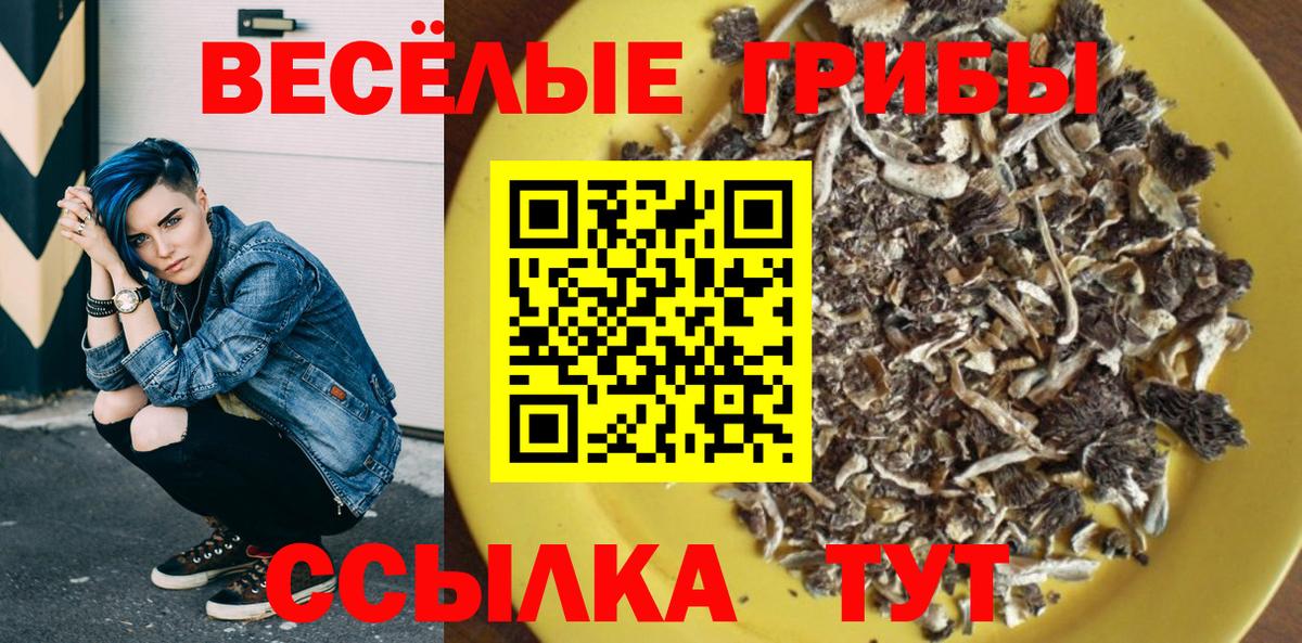 Псилоцибиновые грибы прущие грибы  Вход с VPN  Новый Уренгой 